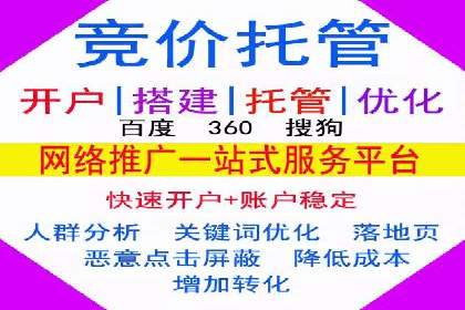 百度推广的投放策略与效果分析